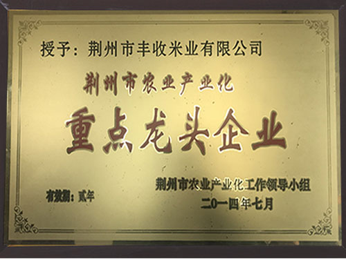 重點(diǎn)龍頭企業(yè)